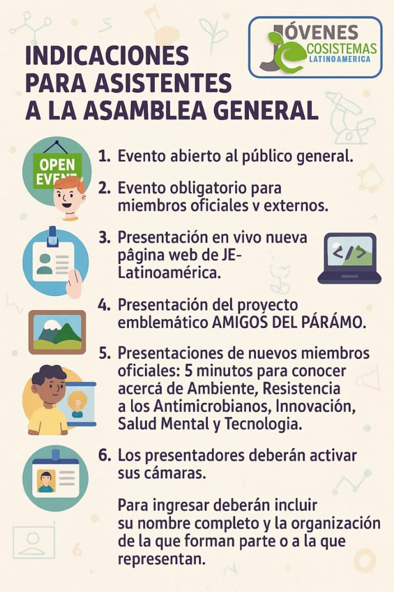Imagen de WhatsApp 2025-07-13 a las 12.08.07_36550d0f