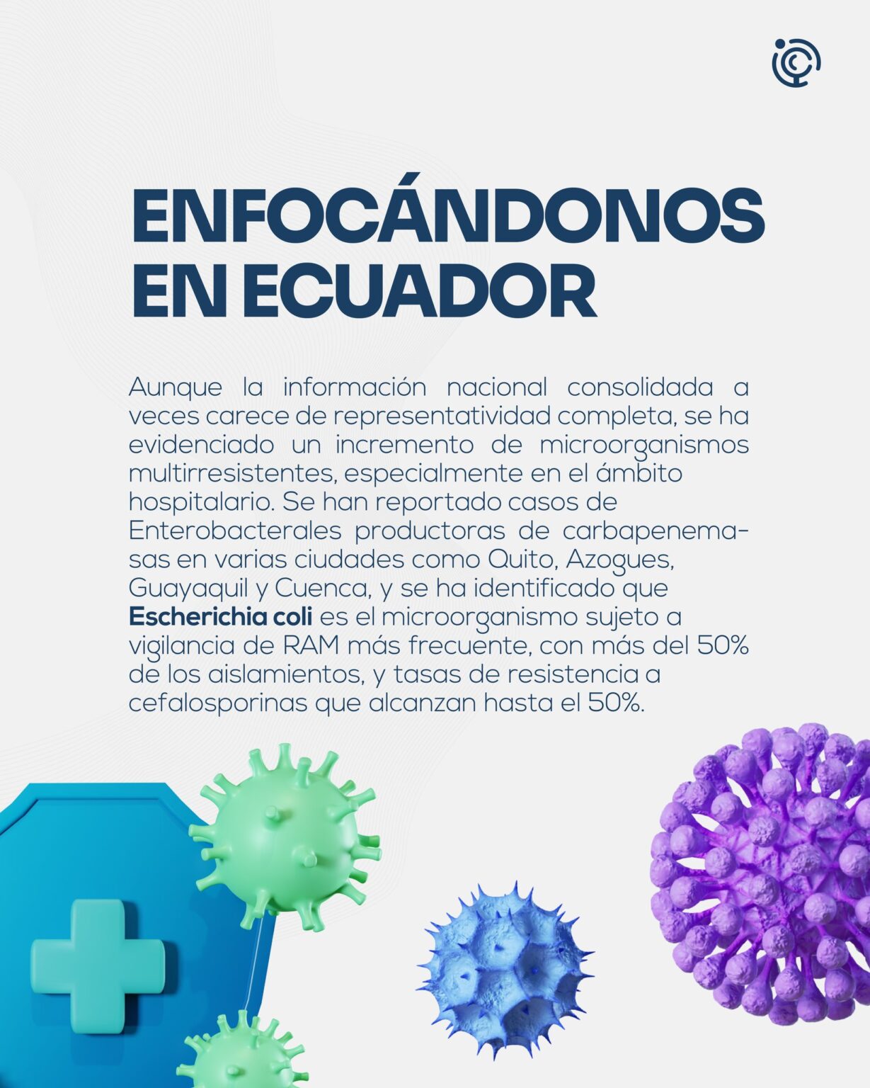 508600876_1121728536656052_8701752983602768597_n